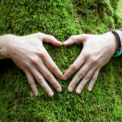 E-Learning